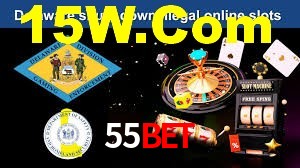Premium Interface 55Bet