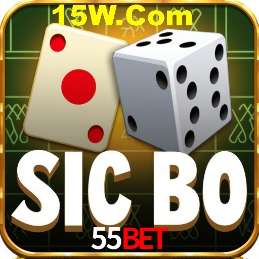 Security Systems 55Bet